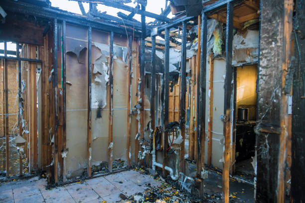 Professional Smoke Odor Removal technician working in Clayton, NJ